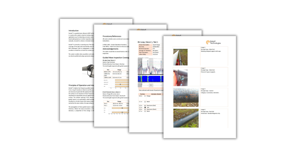 Пример отчета Sonyks